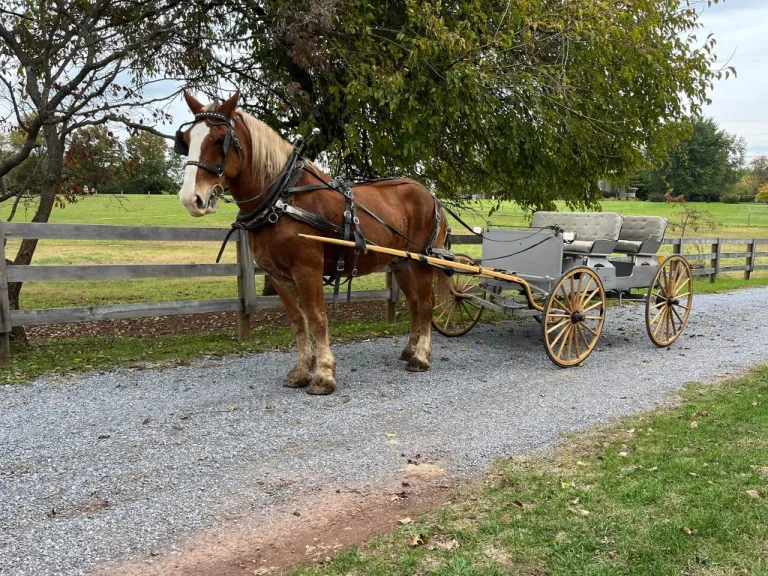 Large horse pulling wagon