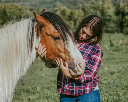 picture of horse head being tenderly held by woman