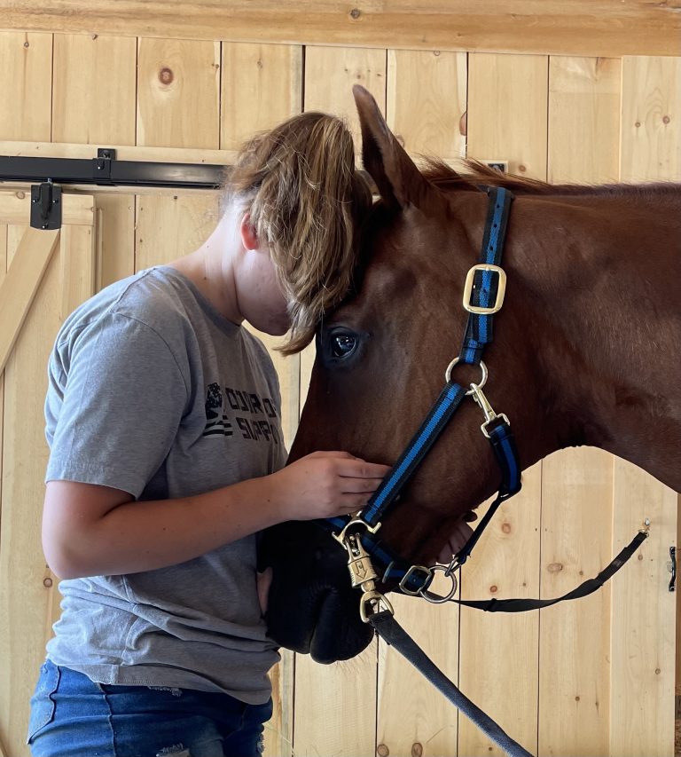 person resting head against horse's head